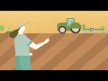 Soy Sustainability 101