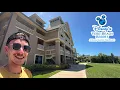 My FIRST Trip to Disney s Vero Beach Resort Full Resort Stay Swimming Dining and Baby Bunnies