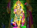 Download Lagu Varuvaai Mayileri | ஆறுமுகம் முருகன்|  Trending Murugan Shorts | 🙏முருகன் பாடல்🙏 #trendingshorts