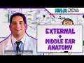 Special Senses External and Middle Ear Anatomy