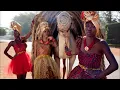 Groupe Sogha  - Fima