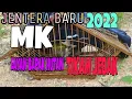 Download Lagu #muraikampung #kacer #jenterabaru  Pikat Murai Kampung || Burung Hutan Tikam Jebak