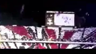 أغنية الزمالك الجديدة 