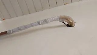mais um vídeo de continuação da reforma da pintura do escritório.