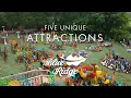5 Unique Attractions - Blue Ridge Georgia