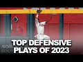 The Top 60 Fielding Plays of 2023 MLB Highlights