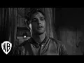 Lagu A Streetcar Named Desire 60th Anniversary | Stanley Meets Blanche | Warner Bros. Entertainment