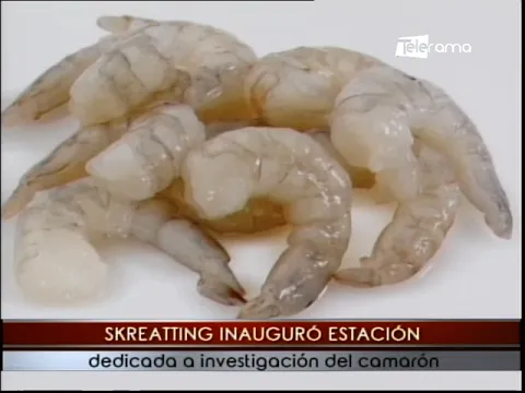 Skreatting inauguró estación dedicada a investigación del camarón