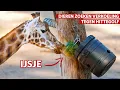 Download Lagu IJsjes voor giraffen en leeuwen in Burgers' Zoo 🍦❄️