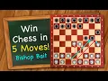 Download Lagu How to win Chess in 5 moves by baiting your opponent!