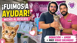 Llevamos alimento a 38 Gatitos del Refugio!