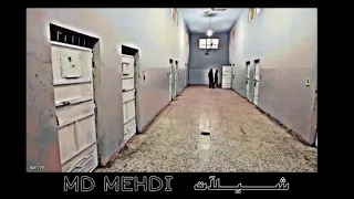 امدي مهدي شلات مافيش محاكمه   دندنها