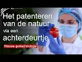 Lagu Nieuwe gentechnologie – het patenteren van de natuur via een achterdeurtje! | www.kla.tv/39391
