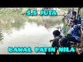 Lagu Nekat..!! 5,5 juta 4 peserta, bawal patin babon dan nila badot kolam luas