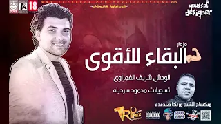 مزمار البقاء للأقوى     الوحش شريف الغمراوى ميكساچ الشبح مزيكا هيدغدغ تسجيلات محمود سردينه  دندنها