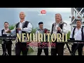 Download Lagu NEMURITORII . Printre straini (oficial video)