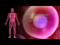 How Cells Divide and How Chemotherapy Works