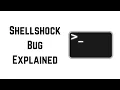 Shellshock Attacks Cyber Security