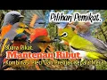 Download Lagu SUARA PIKAT BURUNG MANTENAN RIBUT. KOMBINASI PLECI DAN PRENJAK KEPALA MERAH..