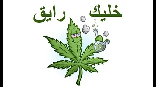 خليك رايق لا تصحيني مزاجي عالي ماريجوانا وحب جمعنا 