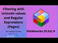 FLEx 9 1 18 Filtering based upon Unicode values and Regular Expressions