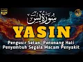 Lagu Surah Yasin Pengusir Setan dan Penyembuh Segala Macam Penyakit, Ngaji Merdu - Alaa Aqel