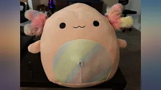 Squishmallows Kellytoy 14 Inch Soft Plush Squishy Toy Animals Archie review