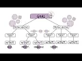 Results Framework and Logframe MEAL DPro Starter