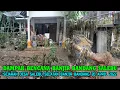 Download Lagu SEJARAH BARU DI SALEBU MAJENANG..!! DAMPAK WARGA SALEBU SELATAN PASCA BANJIR BANDANG 20 APRIL 2022