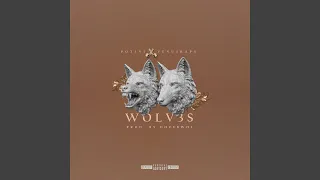 wolv3s feat venusraps 