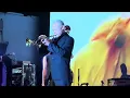 Wichita Lineman - Flea and the Honora Band (NYC, 2026) (4K HDR)