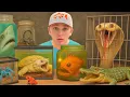 I Bought The Deadliest Animals to keep as pets