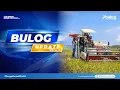 Download Lagu BULOG Update Eps. 5 - Kinerja Penyerapan Gabah/Beras BULOG di Wilayah Jawa Tengah