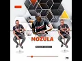 Download Lagu Nozula - Luyazenzela ( OFFICIAL AUDIO)