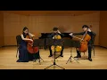 Download Lagu Borodin | String Trio in G minor for Three Cellos : Andantino | SoRi | Jun.2021