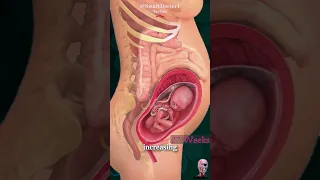 معجزة الولادة 