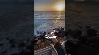 يا ايامي الجايه جديد فضل شاكر اكسبلور دويتو ترند لايك تيك توك Duet فولو اشتركو 