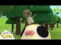 Download Lagu Burung Kutilang dan 12 Menit Kompilasi Lagu Anak Viral Terbaru Lainnya