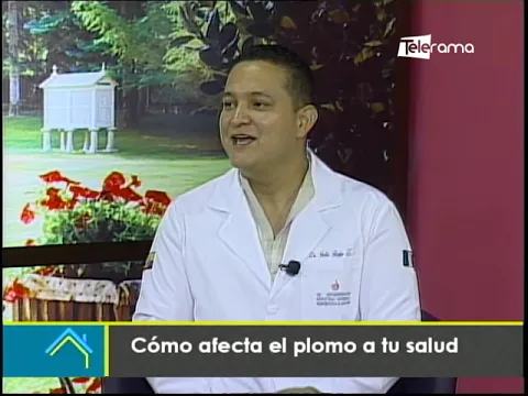 Cómo afecta el plomo a tu salud