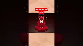 امور مرعبة عن غولب وقت المغامرة كتون كرتون نتورك بالعربية كارتون نتورك 