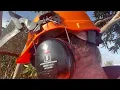 Tree Pruning Removal Mornington 3931