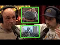 The Time the Dave Matthews Band Tour Bus Dropped 800 Pounds of Feces in the Chicago River