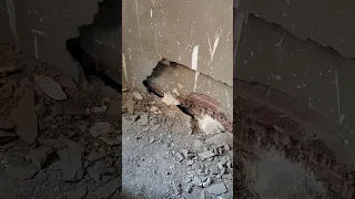                    دندنها