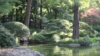 أجمل موسيقى هادئة للهنود الحمر إسترخاء وتآمل وسلام وسكينة صوت الطبيعة Nature Sound 