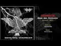 Download Lagu Nechbeyth (SGP) - Blood. Axis. Domination (Full Album) 2011