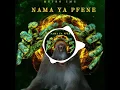 Metro CMG - Nama Ya Pfene