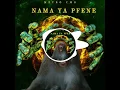 Download Lagu Metro CMG - Nama Ya Pfene