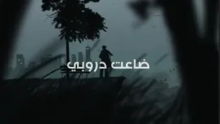 مشاري بن نافل   ضاعت دروبي      دندنها