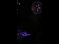 Tokyo Disneyland- Happiness on high