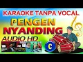 Download Lagu PENGEN NYANDING - KARAOKE TANPA VOCAL (AUDIO HD)